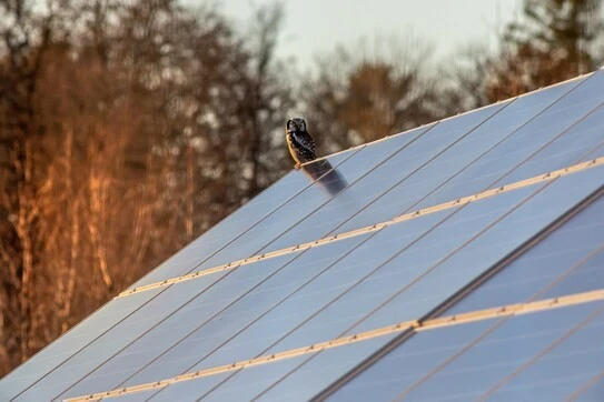 Solutions Énergétiques Solaires à Perpignan, Pyrénées-Orientales